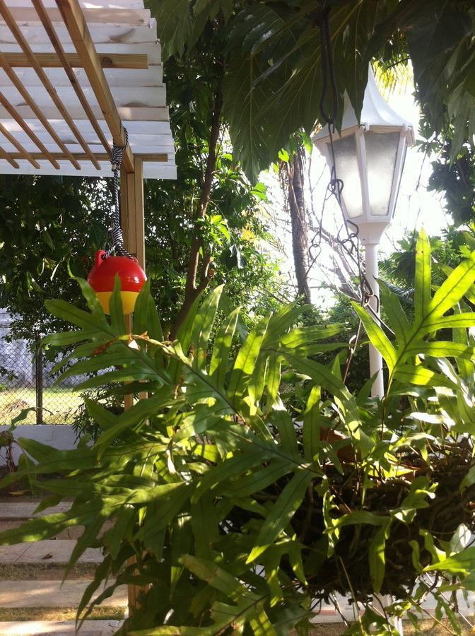 Hostal Casaluna San Andres Экстерьер фото